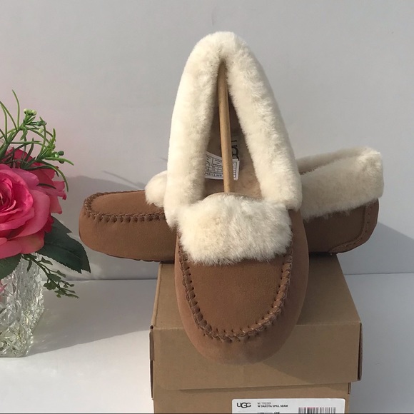 UGG Dakota Spill Seam - Picture 6 of 8